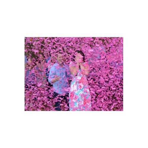 Cinsiyet Partisi 1 Adet Pembe Konfeti Cinsiyet Belirleme Konfetisi Gender Reveal Kız Mı Erkek Mi