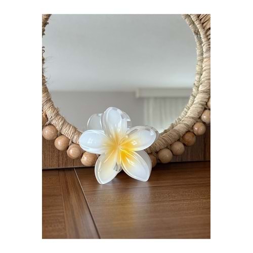 Lotus Toka