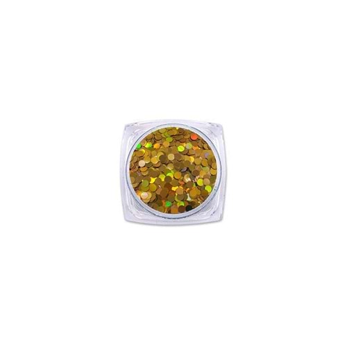 Epoksi Süsleme Glitter Yuvarlak Gold Pul 5gr