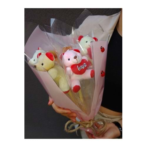Ayıcık Buketi Pembe Renk & Uğur Böceği Süslemeli Peluş Ayı Çiçek Buketi
