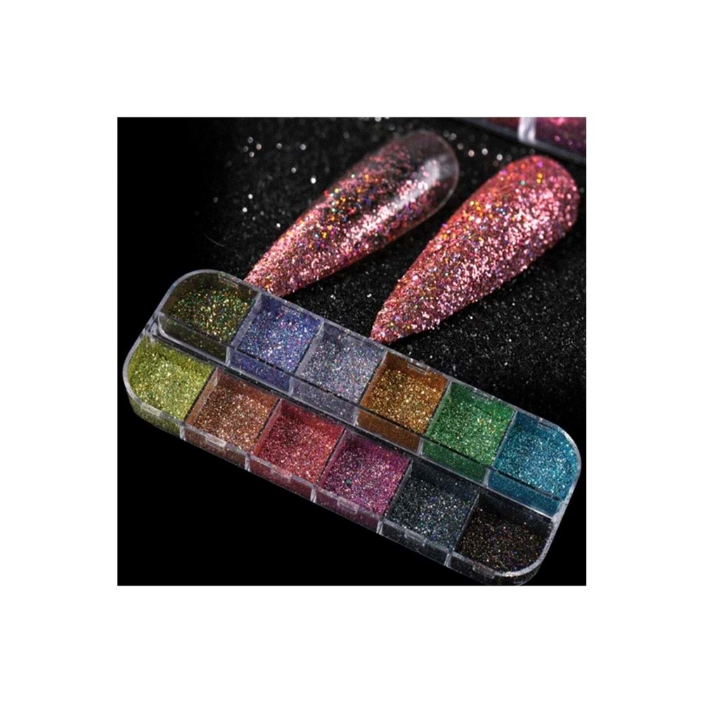 12'li Glitter Sim Seti Makeup Nail Art Resin Art Kalıcı Oje Protez Tırnak Süsleme Göz Makyajı