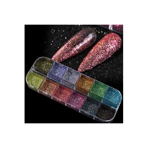 12'li Glitter Sim Seti Makeup Nail Art Resin Art Kalıcı Oje Protez Tırnak Süsleme Göz Makyajı