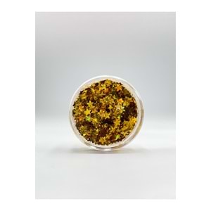 Jel Formlu Parlak Glitter - Gold Star