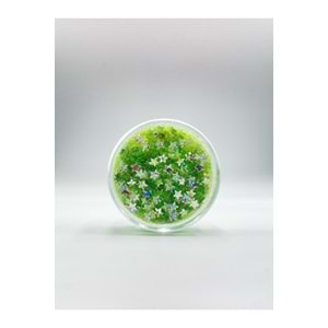 Jel Formlu Parlak Glitter - Light Green Star