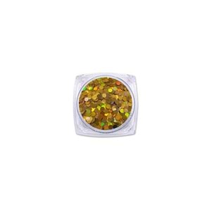 Epoksi Süsleme Glitter Yuvarlak Gold Pul 5gr