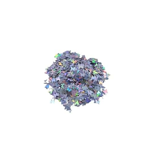 Epoksi Süsleme Glitter Pul Kelebek Pul Gümüş 5 Gr