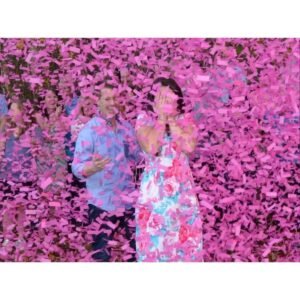 Cinsiyet Partisi 1 Adet Pembe Konfeti Cinsiyet Belirleme Konfetisi Gender Reveal Kız Mı Erkek Mi